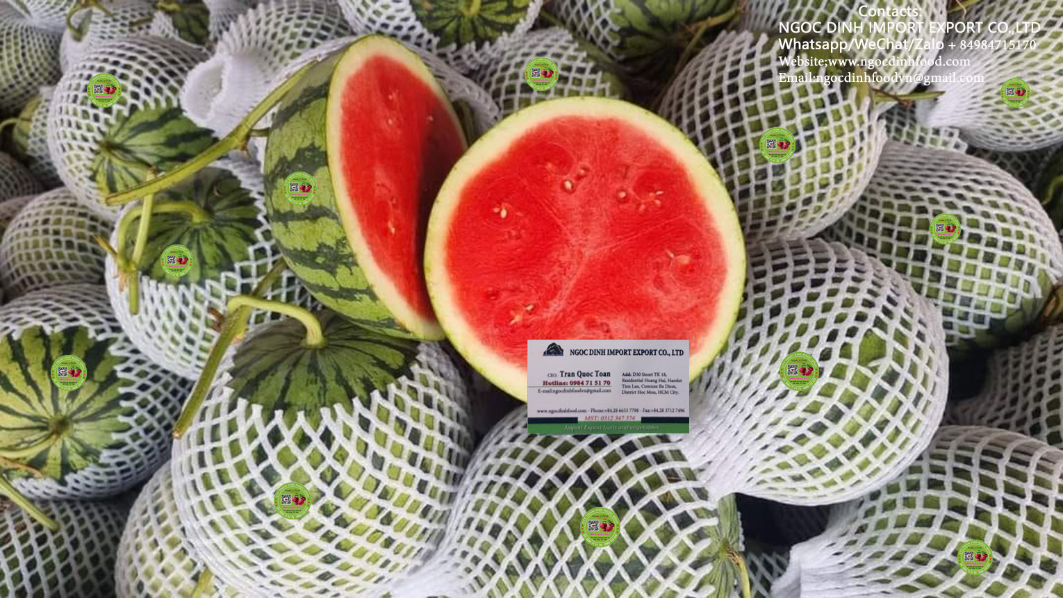 Watermelon seedless 4